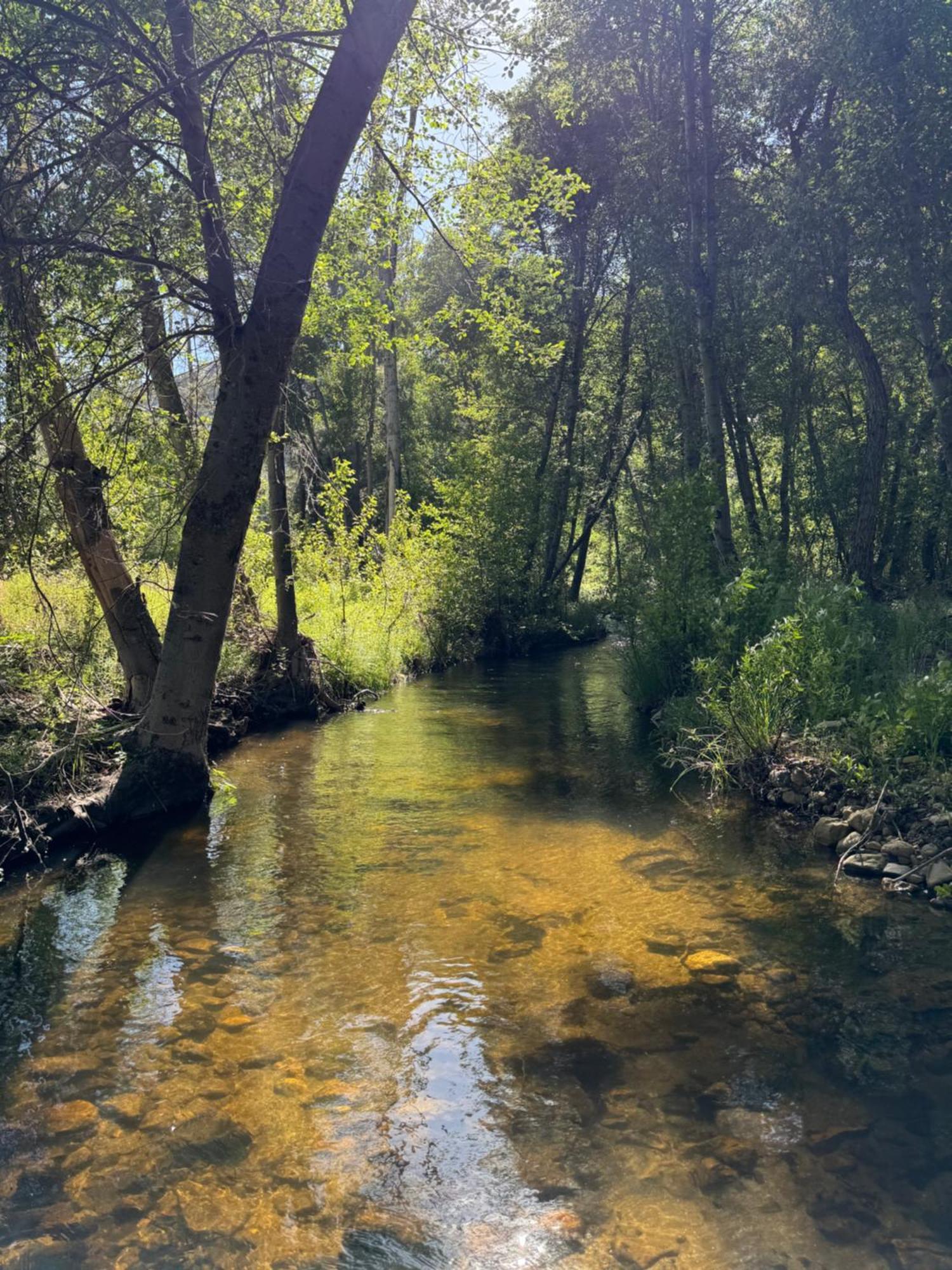 Willa Peppermint Falls Ranch Ponderosa Zewnętrze zdjęcie